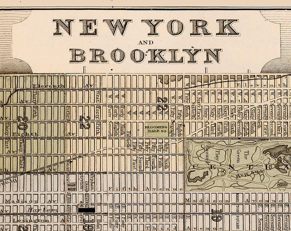 Vintage New York Map 31