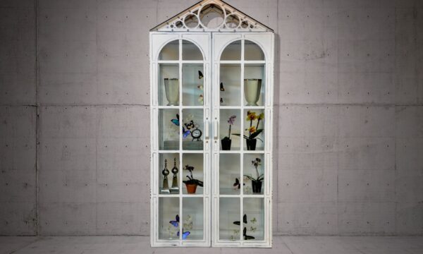 Luxury Industrial Vitrine Display Cabinet