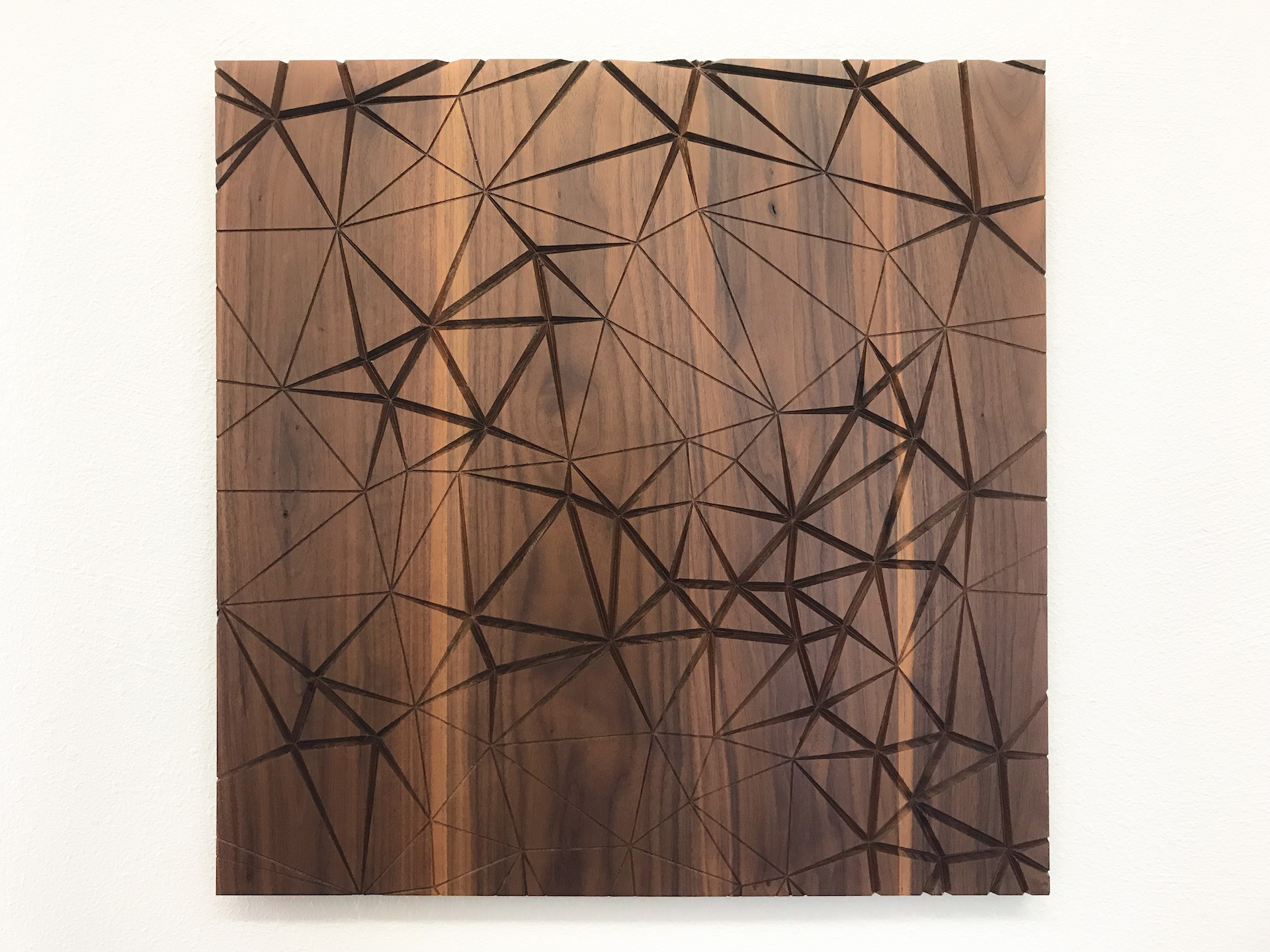 Architectural Wall Panels - Image 5